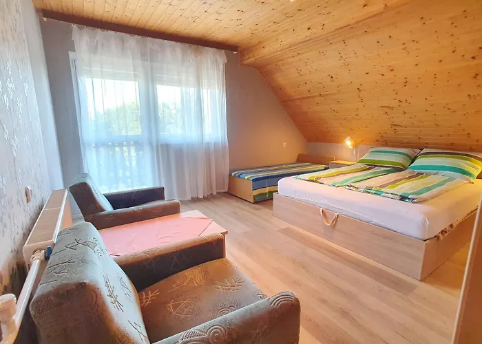 Edit - Biro Tours Nr 8 * 본보야크바세기